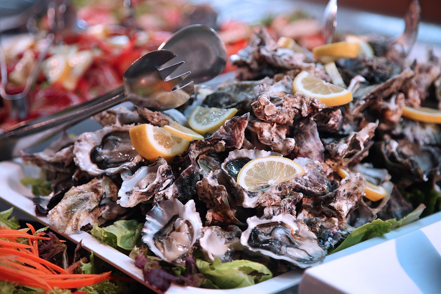 Oyster options on rotorua buffet