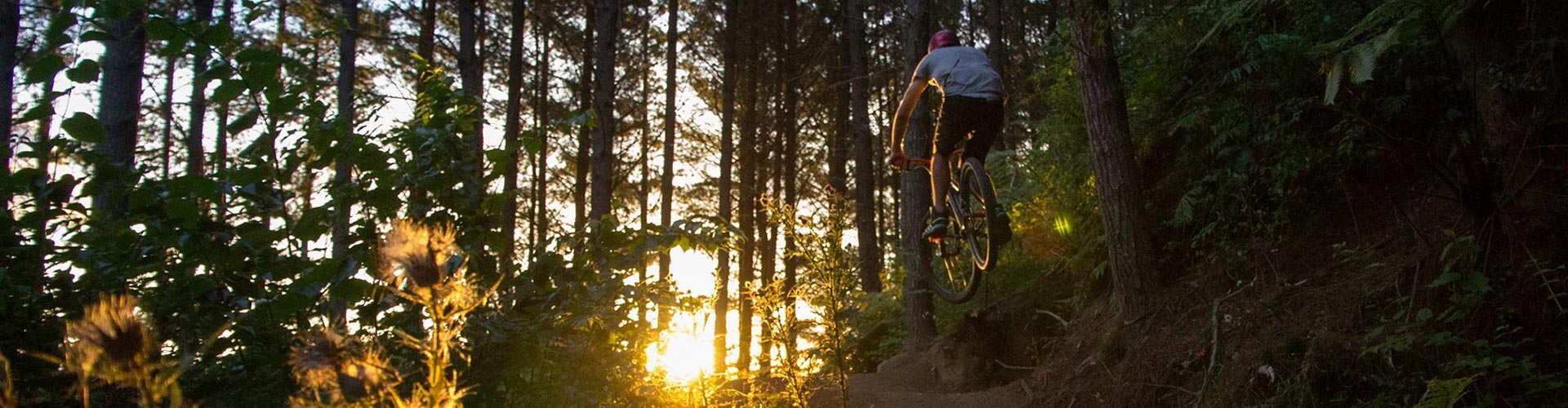 Mountain biking in Rotorua