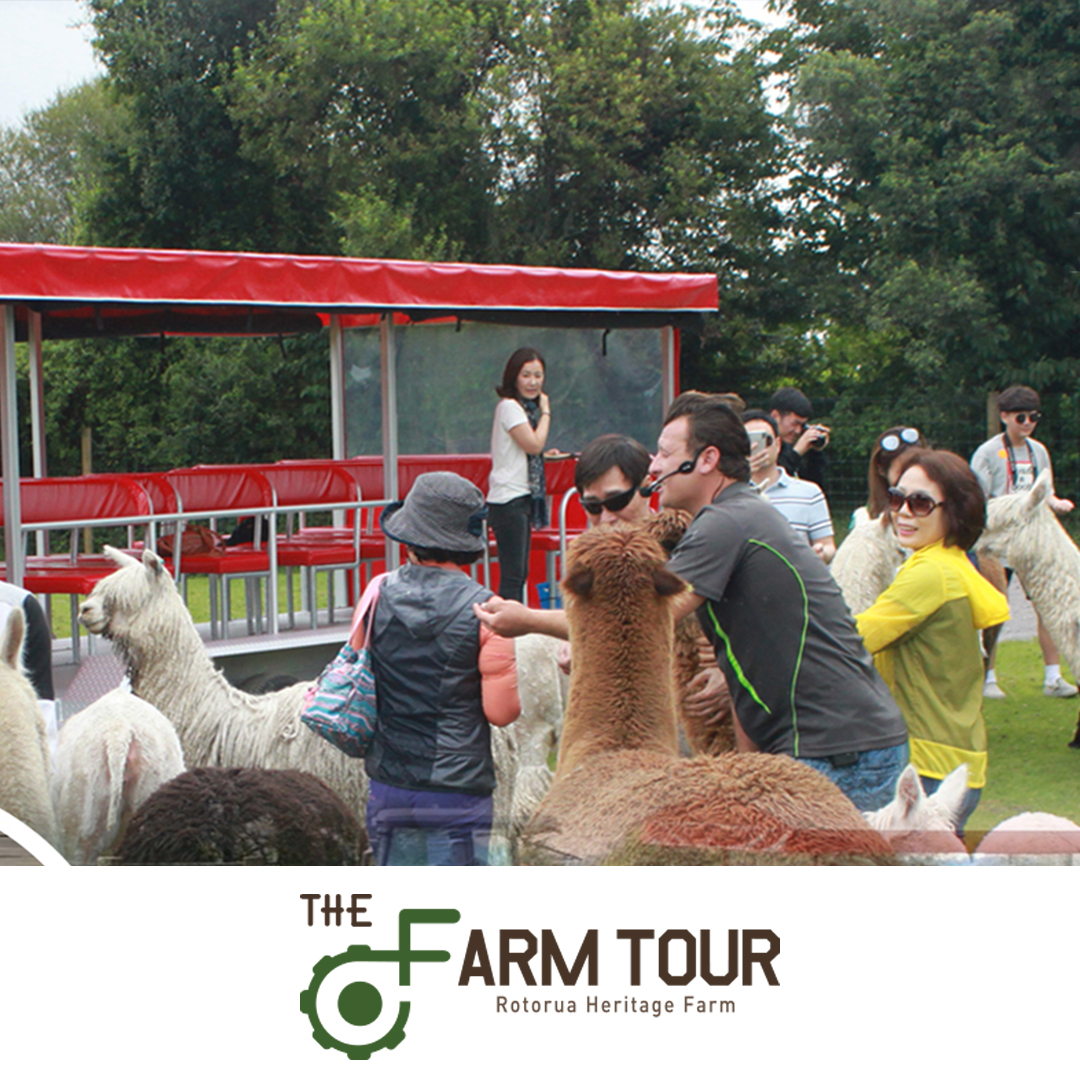 The Farm Tour VIK Holiday Inn Rotorua